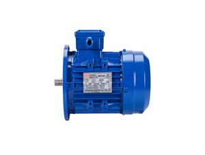 防爆電機(jī)都有哪些防爆系統(tǒng)？