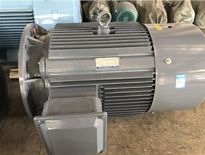 如何辨別三相異步電動(dòng)機(jī)