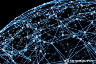 鄭州區(qū)塊鏈技術(shù)驅(qū)動(dòng)下的數(shù)字貨幣錢包開發(fā)與網(wǎng)絡(luò)技術(shù)創(chuàng)新